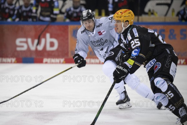 Eisarena Bremerhaven, Bremerhaven, Bremen, Fabian Herrmann (Fischtown Pinguins, #25), PENNY DEL, Fischtown Pinguins-Kölner Haie on 16/03/2025 at the Eisarena Bremerhaven in Bremerhaven Germany