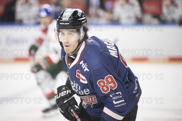 Laura Dick Cologne, LanxessArena, North Rhine-Westphalia, Gregor Macleod (Cologne Sharks, #89), PENNY DEL, Cologne Sharks-Augsburg Panthers on 08/12/2024 at the LanxessArena in Cologne Germany