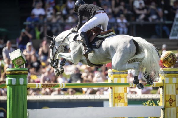 Martin Fuchs of Switzerland and riding Leone Jei compete in the first round of the 1.60m CPKC International during the Spruce Meadows Masters, presented by Rolex, in Calgary, Alberta, Canada, North America