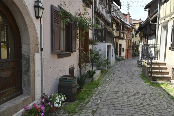 Eguisheim, Egisheim, Département Haut-Rhin, France, Europe