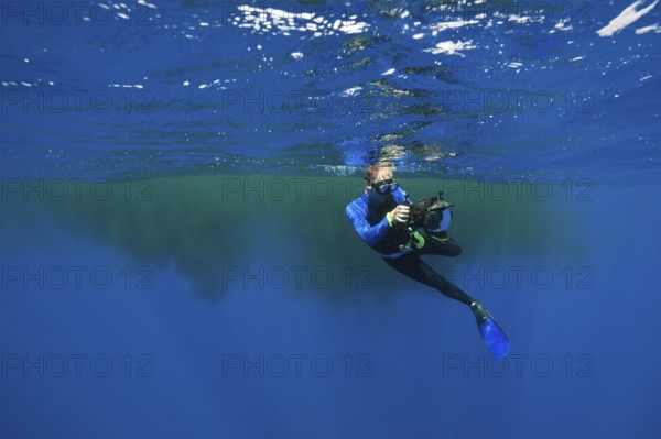 Snorkellers swimming in sperm whale excrement, Physeter macrocephalus, Caribbean, Dominica, Central America