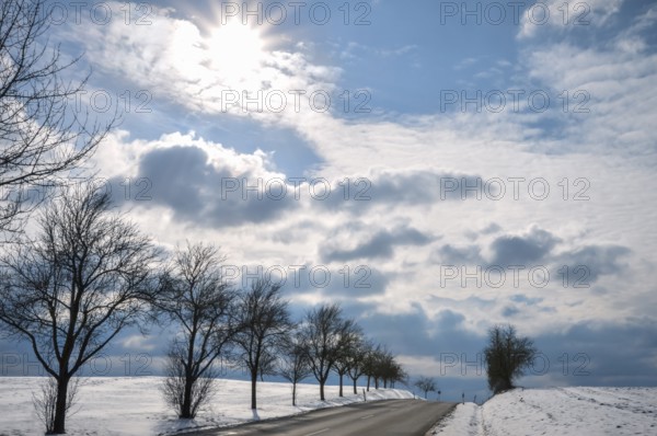 Winter bright scenery with a street bordered with a tree row, crossing a field covered in snow, on a sunny day of February, near Ilshofen, Germany, Europe