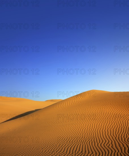 Beatiful evening landscape in desert