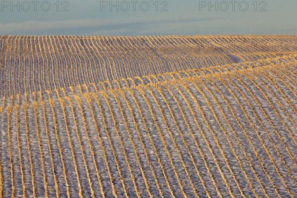 Saskatchewan plains winter extreme cold prairie scenic
