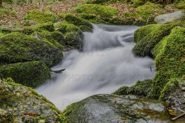 Gentle stream of water between green mossy rocks in the forest, Perlbach valley near Bogen, Lower Bavaria