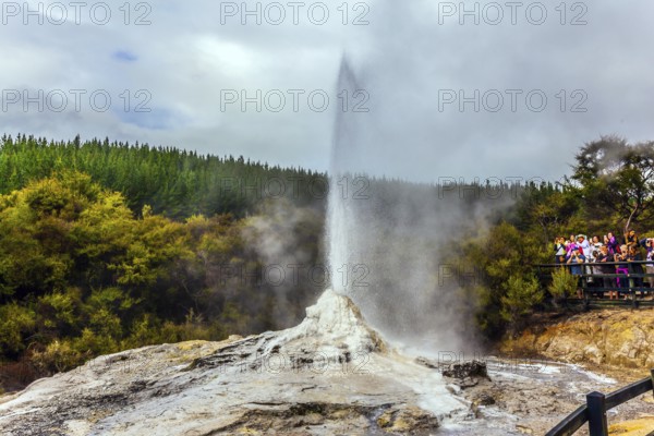 VALLEY OF GEYSERS ROTOROU, NEW ZEALAND - MARCH 24, 2018. The famous Lady Knox geyser