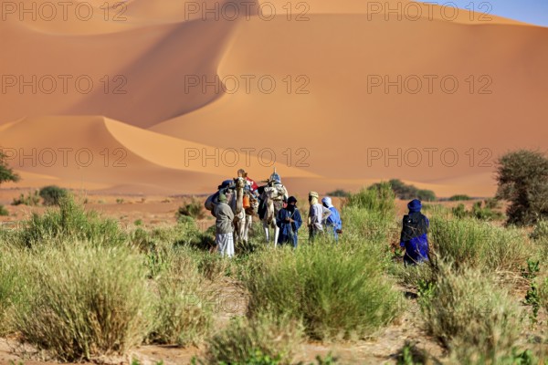 Group of people and camels standing in sandy desert landscape with vegetation, Tuareg with his camel caravan in the Sahara in Algeria