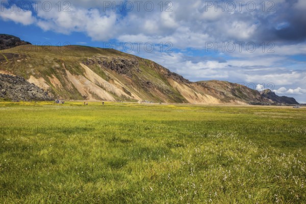 The picturesque valley in national park Landmannalaugar. Summer in Iceland. Green grass among thermal sources