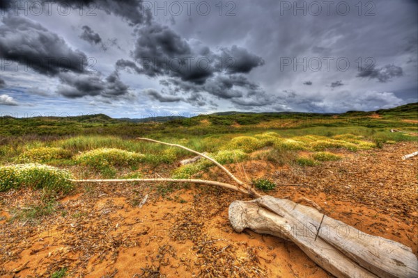 Menorca dramatic landscape in north cala pregonda