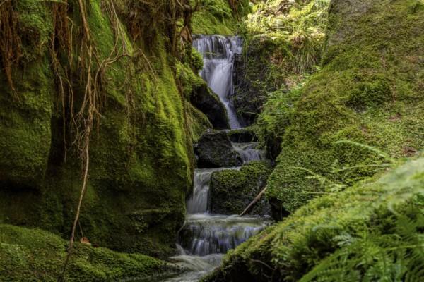 Water cascades on the Gelobtbach stream, Elbe Sandstone Mountains 7