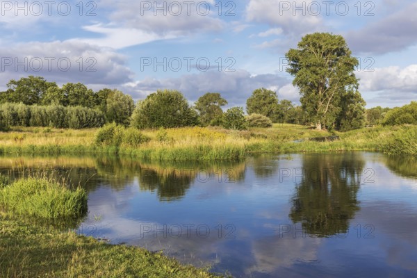 Trave river near Bad Oldesloe in Schleswig-Holstein, Germany, with reflection of the sky and the vegetation in the water. Reconnection oxbow Kneeden, Renaturalisation Lowland river Trave near Bad Oldesloe in Schleswig-Holstein, Germany, with reflection of the sky and the vegetation in the water.Reconnection of oxbow lake Kneeden, Europe