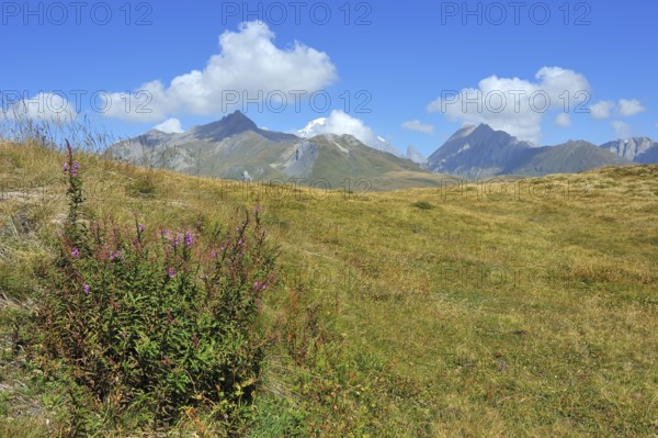 Great St Bernard Pass in autumn.Great St Bernard Pass in autumn
