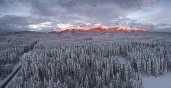 Snow covered winter forest landscape aerial view with pines and mountains in the background. Cold morning sunrise with alpenglow