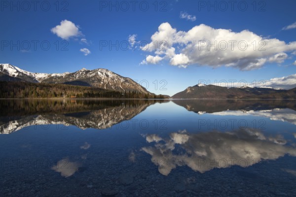 Reflection in Lake Walchensee, German Alps, Bavaria, Germany, Europe