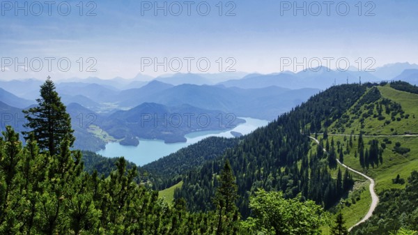 View of the Walchensee from the Herzogstand