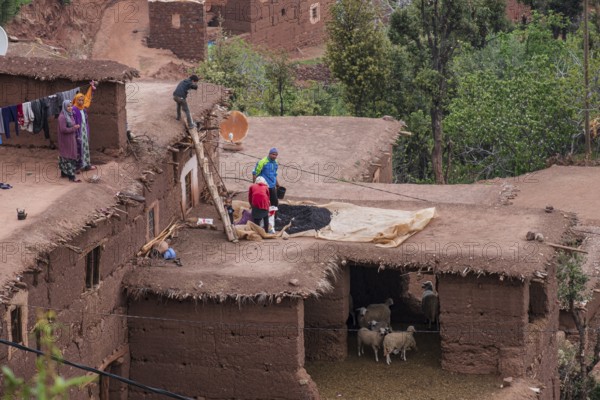 Family drying beans on a pen with sheep, Ait Blal, azilal province, Atlas mountain range, morocco