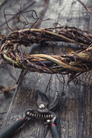 Cut grape branches twisted into crown manually