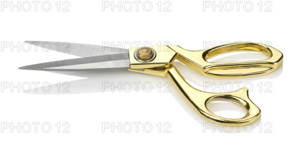 Scissors isolated