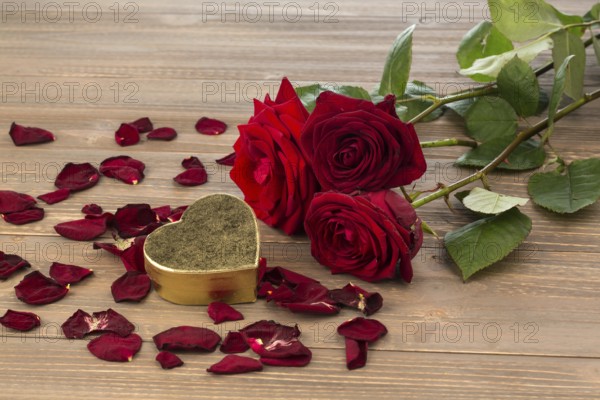 Roses as a gift and surprise for a celebration. Symbol photo for birthday, Mother's Day, love, Valentine's Day Austria