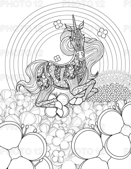 Beautiful Unicorn In Flower Fields Looking Front Colorless Line Drawing