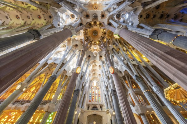 Barcelona, Spain, April 7, 2023: Interior of La Sagrada Familia cathedral, designed by Gaudi, it is being built since 1882. graphy, Europe