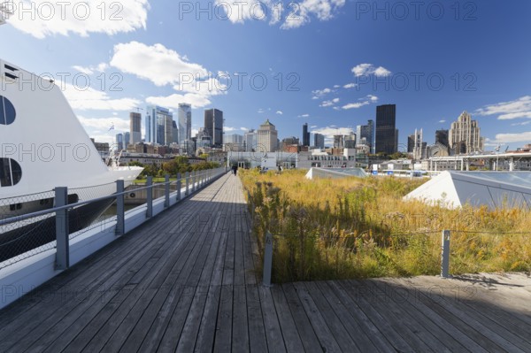 View on the city from the cruise ship terminal, Old Port, Montreal, Province Quebec, Canada, North America