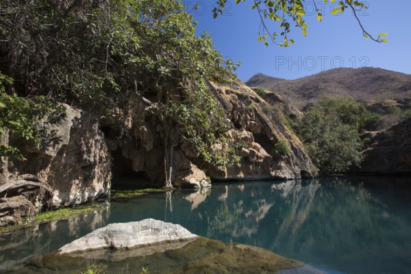 Ayn Sahnawt, Salalah, Oman, Asia