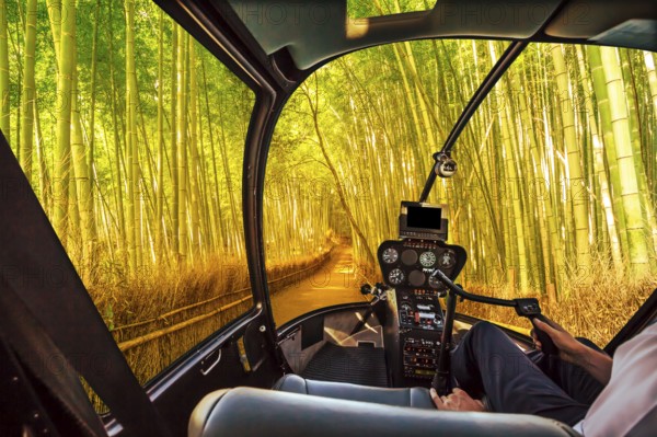 Helicopter cockpit inside the cabin flying in surreal bamboo grove at Sagano in Arashiyama, sunlit. Asian travel destination. Exploration and adventure concept