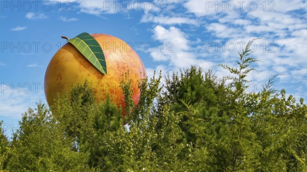 The Peachoid, a 135-foot water tower in Gaffney, SC, resembles a peach and holds 1 million gallons. Built in 1981, it's a landmark on I-85, showcasing unique architecture and attracting tourists, Gafney, United States of America