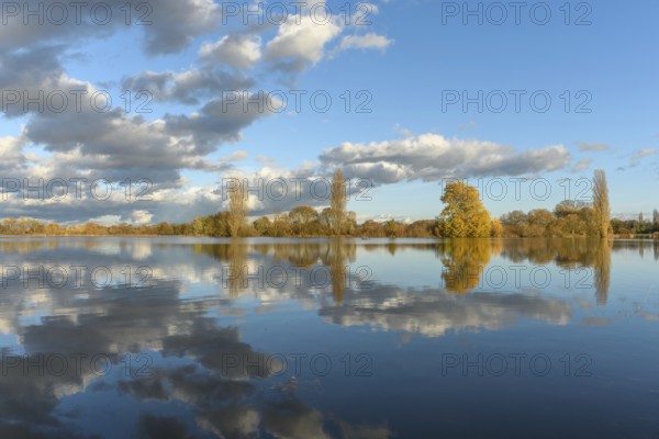 Flooded meadow after heavy rains. Autumn landscape. Bas-Rhin, Collectivite europeenne d'Alsace, Grand Est, France, Europe