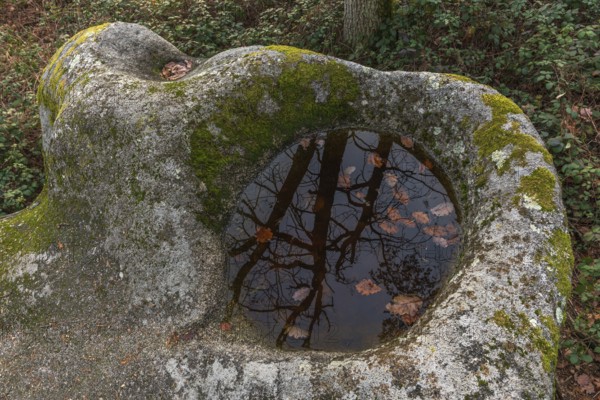 Celtic rock, rock with cups on the rock trail. Dieffenthal, Bas-Rhin, Alsace, Grand Est, France, Europe