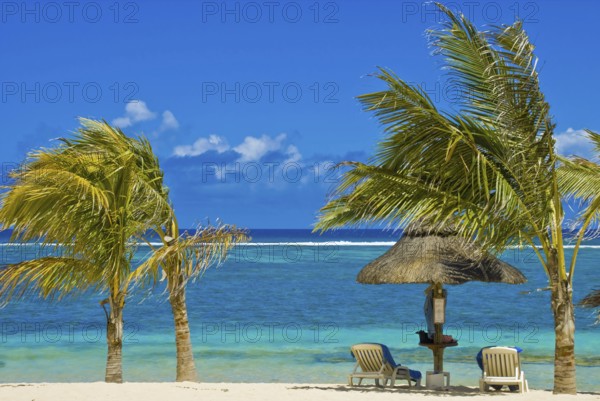 Mauritius beach landscape