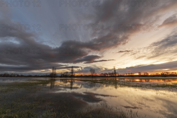 Trees reflecting in the water at sunset. Winter landscape red and orange sky. Bas-Rhin, Alsace, Grand Est, France, Europe