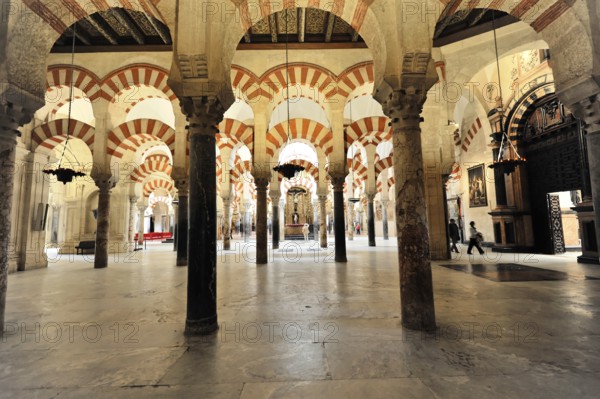 La Mezquita, Mosque, Cathedral of Cordoba, Cordoba, Andalusia, Spain, Europe, Bright columned hall with arcades and play of light in an Islamic building, Europe