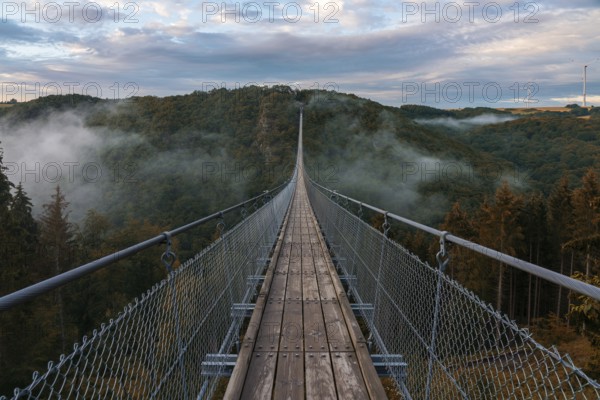 View of a suspension bridge in Germany, Geierlay