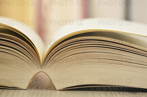Composition with books on the table