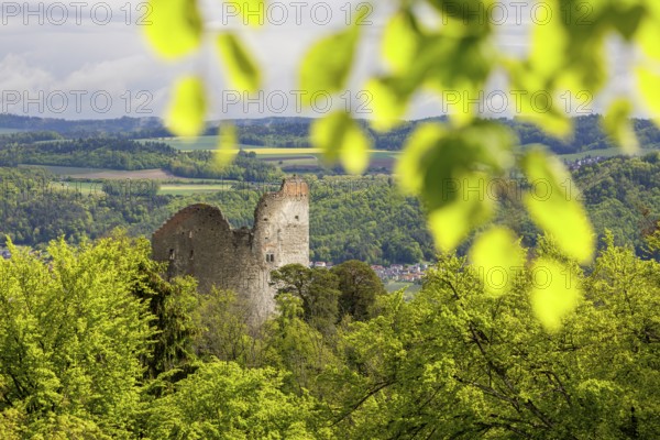 Ruined castle embedded in lush green vegetation under a cloudy sky, Altbodman castle ruins, Bodman, Lake Constance, Baden-Württemberg, Germany, Europe