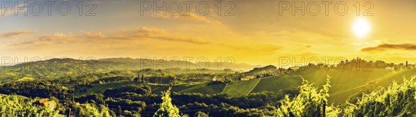 Sunny panorama of grape hills on Vineyards in south Austria. Vivid contrast high resolution landscape