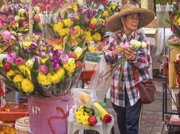 Florist lady in Little India, Singapore, Asia