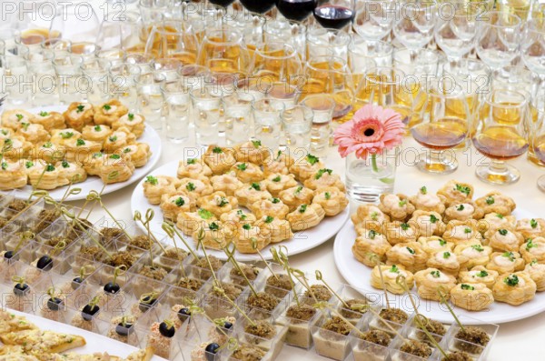 A lot of cold snacks on buffet table, catering