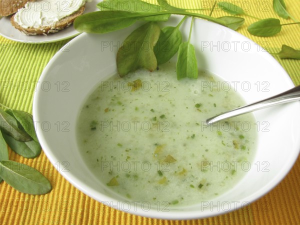 Sorrel soup