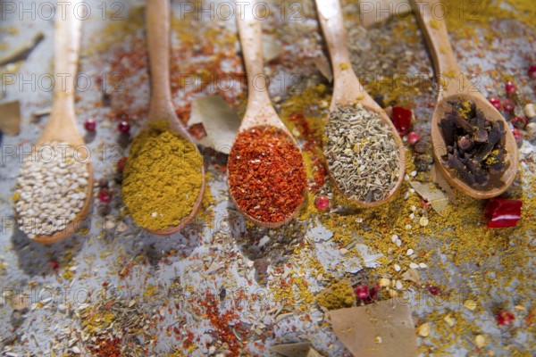 Presentation of mixed spices needed for international cuisine