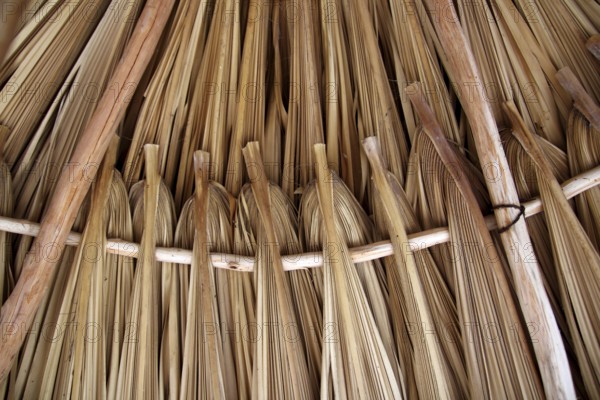 Palm tree leaves in sunroof palapa hut traditional roofing in Mexico