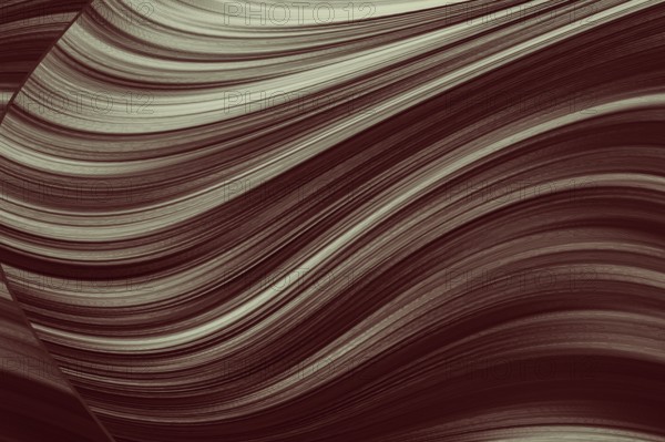 Abstract waves or curved design design background