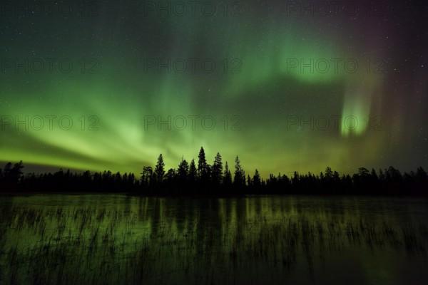 Northern Lights (Aurora borealis), Muddus National Park, Lapnia World Heritage Site, Norrbotten, Lapland, Sweden, October 2015, Europe