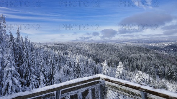 View from the Ellbachseeblick viewing platform in the Northern Black Forest nature park Park