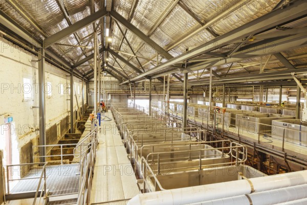 MCLAREN VALE, AUSTRALIA, April 13 2023: Hardys vineyard and wine production in the iconic wine region of Mclaren Vale in South Australia, Australia, Oceania