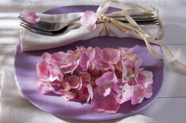 Using the hydrangea flower for the preparation of the table