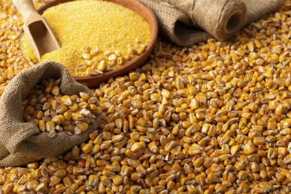 Yellow corn kernels with clay bowl in burlap sack