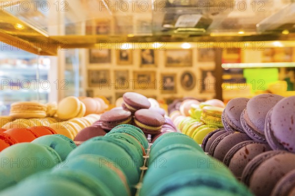 Close-up of macarons cakes of different colors in a patisserie. Culinary and cooking concept. Tasty colourful macaroons